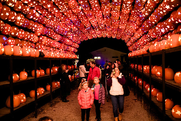 pumpkinblaze23_ah_0065