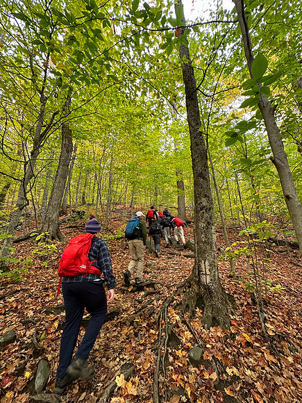 randolphvt2324_trip03-5523_submitted_lp_1952