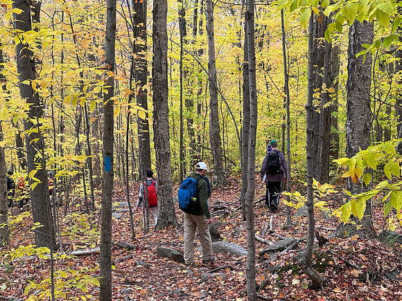 randolphvt2324_trip03-5523_submitted_lp_1971