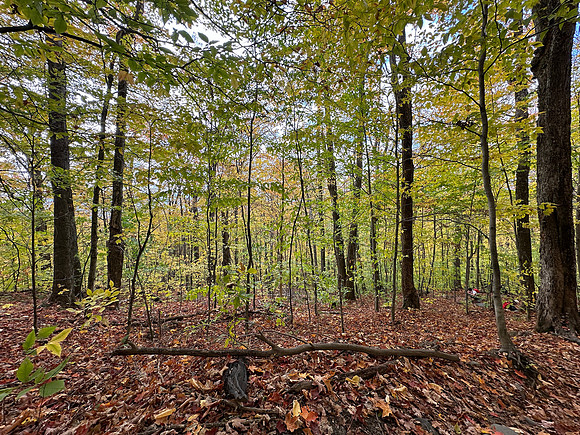 randolphvt2324_trip03-5523_submitted_lp_1974