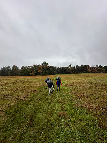 randolphvt2324_trip03-5523_submitted_lp_1985