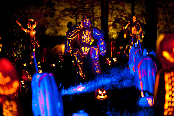 pumpkinblaze20_mkras_0035