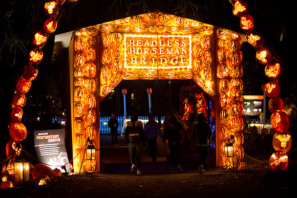pumpkinblaze19_mkras_0074
