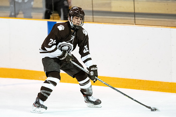 hockey_2022-01-15_dburns2_5202