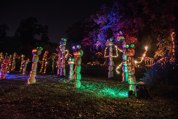 pumpkinblaze_hp_8445