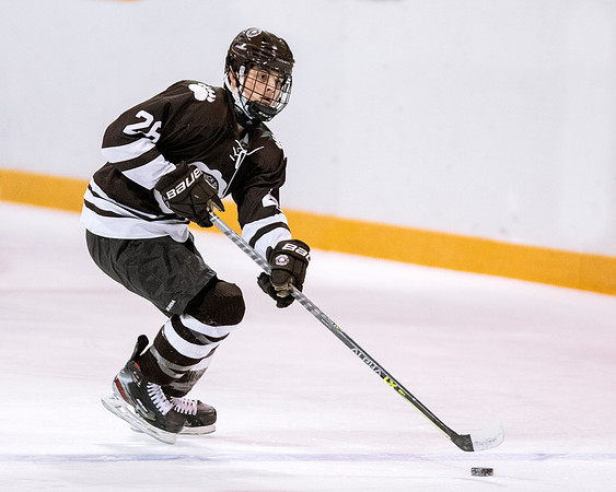 hockey_2022-01-15_dburns2_5197