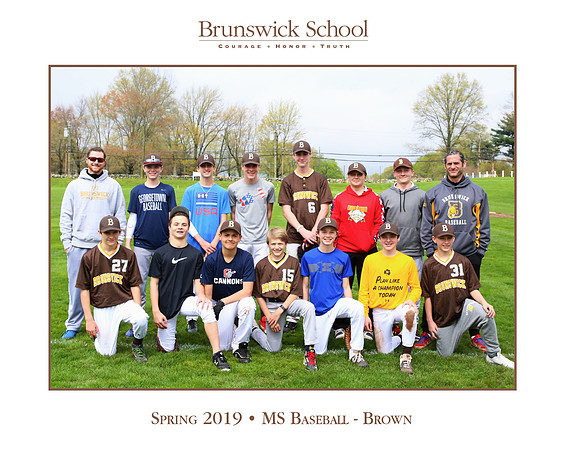 team_spring1819_baseball_msbrown