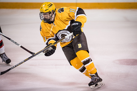 hockey_2016-02-17_wkl_8589