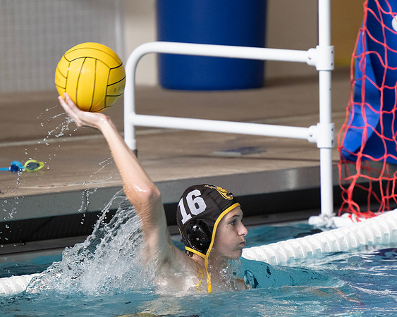 waterpolo_ms_2024-09-24_dburns_4038
