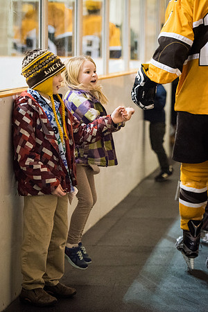 hockey_2016-02-17_wkl_8571