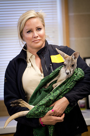 animals_us_visits_ls_2886