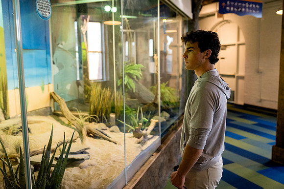aquarium23_ah_0010