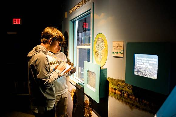 aquarium23_ah_0019