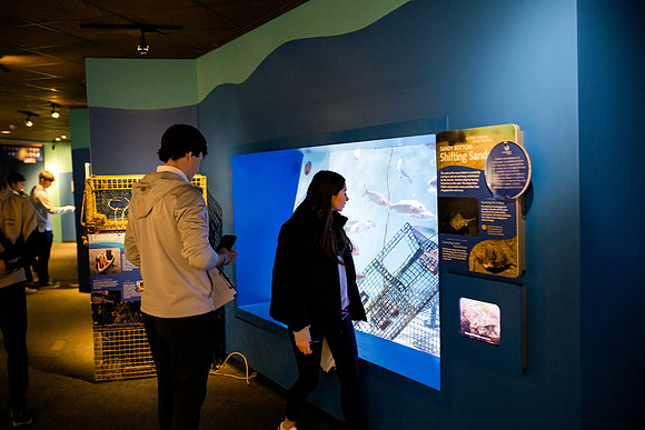 aquarium23_ah_0020