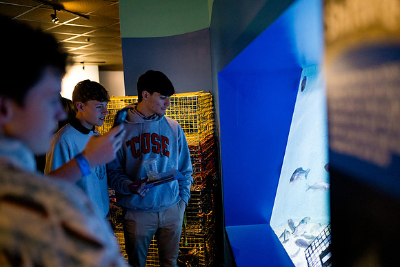 aquarium23_ah_0021