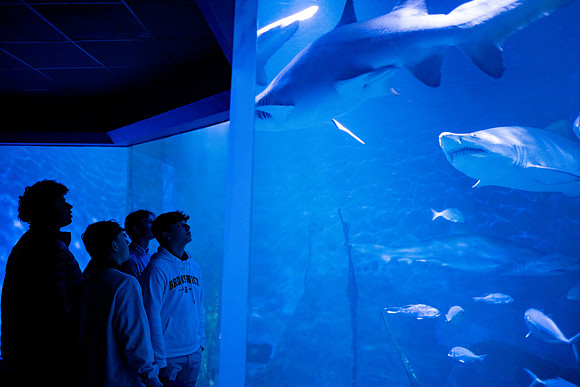 aquarium23_ah_0027