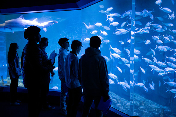 aquarium23_ah_0029