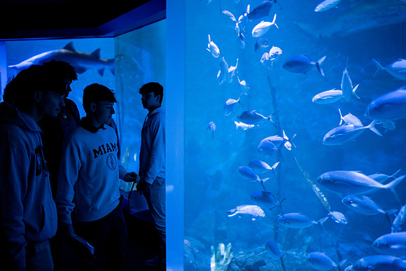 aquarium23_ah_0030