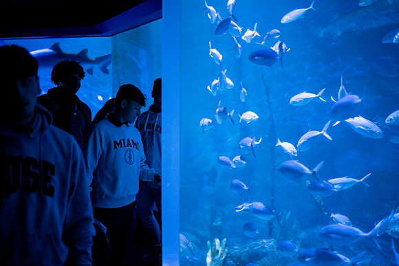 aquarium23_ah_0031
