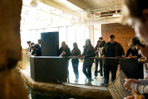 aquarium23_ah_0038