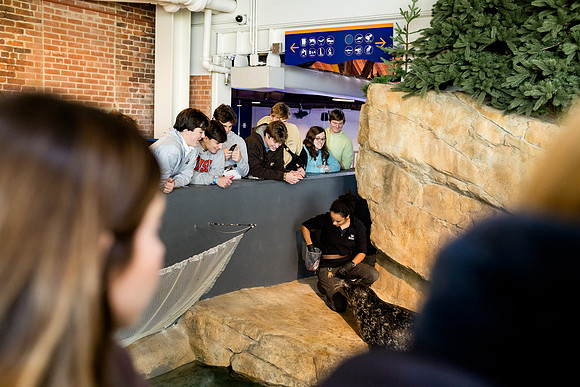 aquarium23_ah_0039