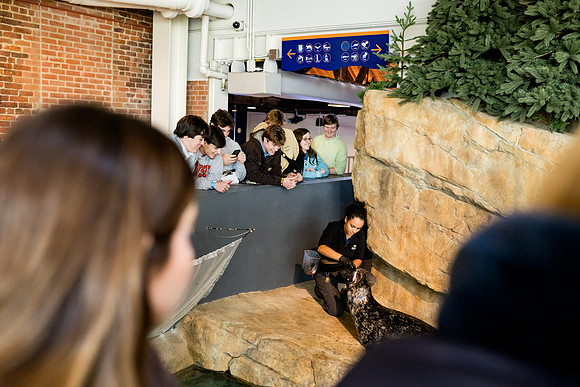 aquarium23_ah_0041
