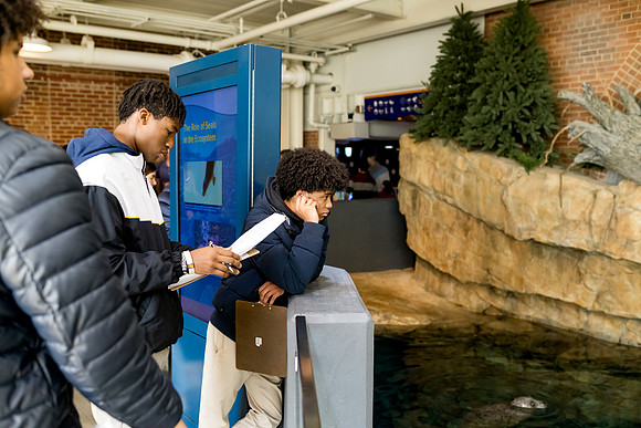 aquarium23_ah_0045