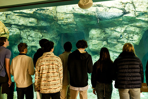aquarium23_ah_0046