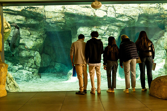 aquarium23_ah_0047
