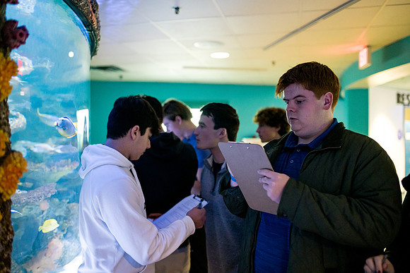 aquarium23_ah_0048