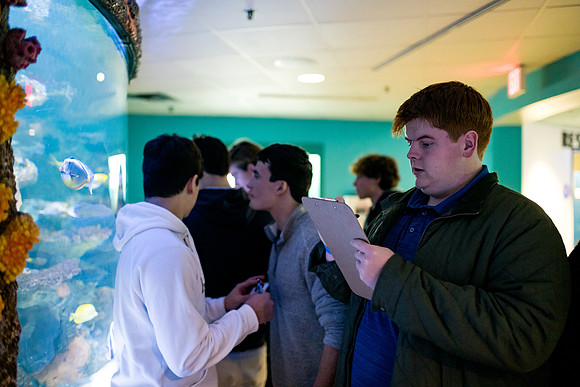 aquarium23_ah_0049