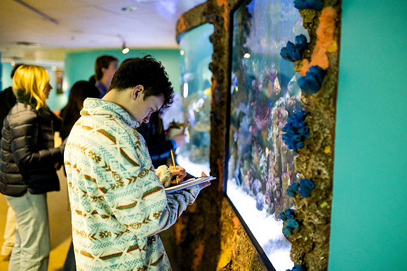 aquarium23_ah_0050