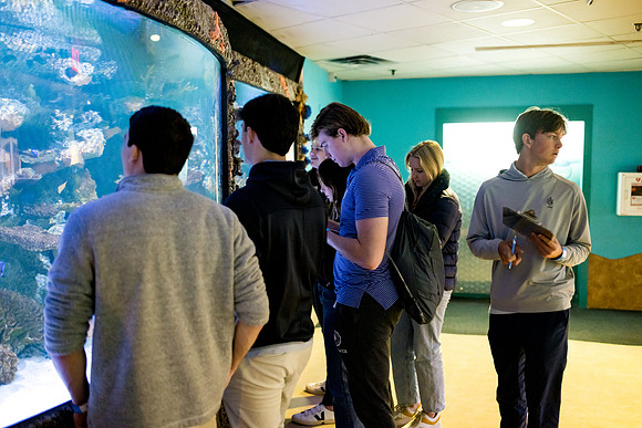 aquarium23_ah_0051