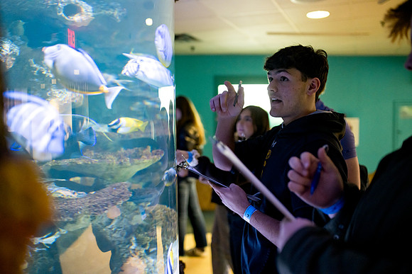 aquarium23_ah_0057