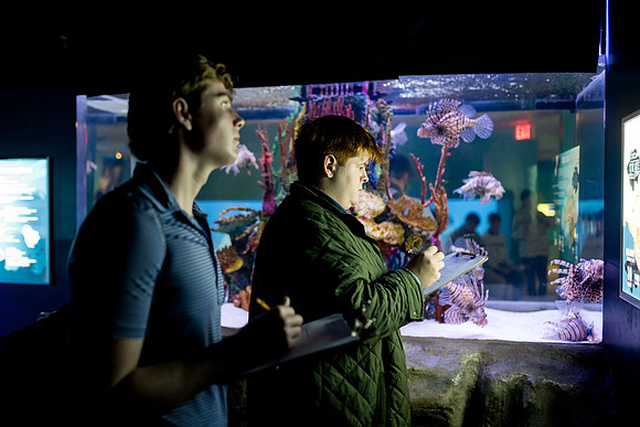 aquarium23_ah_0070