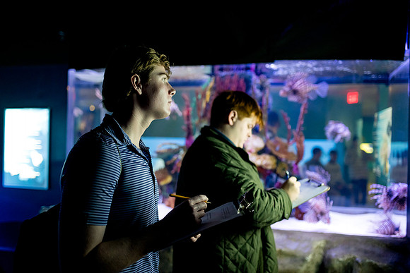 aquarium23_ah_0071