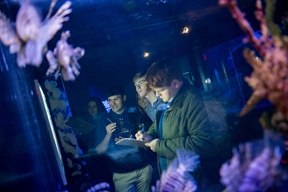 aquarium23_ah_0074
