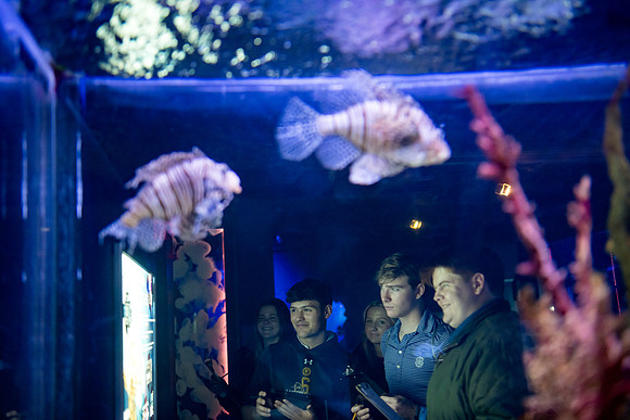aquarium23_ah_0078