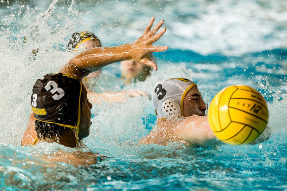 alumni_sportsweekend23_waterpolo_ah_0116