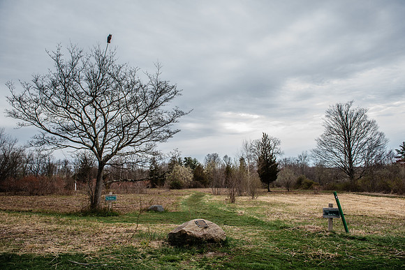 commserv18_audubon_hp_0815