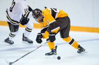 Hockey, Varsity (vs Westminster)