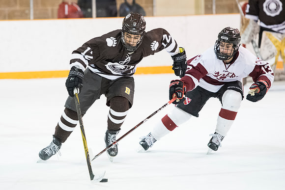 hockey_2018-02-09_db_9372
