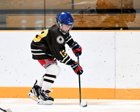 hockey_ms2_2024-01-11_dburns_8049