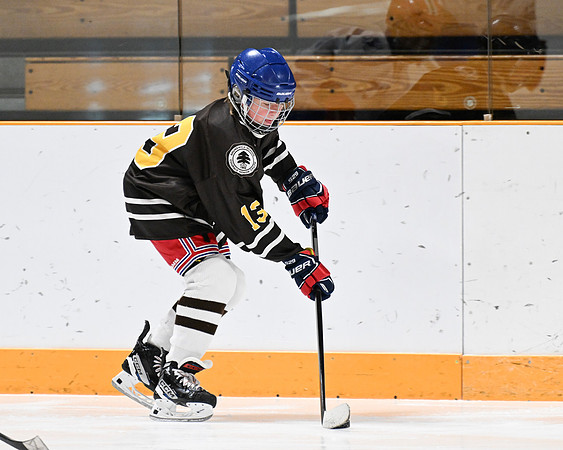 hockey_ms2_2024-01-11_dburns_8049