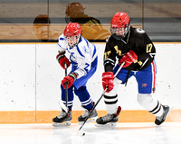 hockey_ms2_2024-01-11_dburns_8073