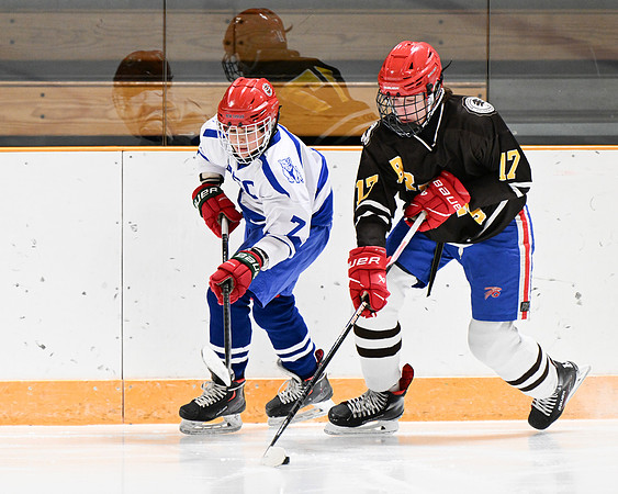 hockey_ms2_2024-01-11_dburns_8073