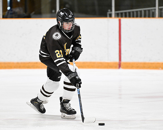 hockey_ms2_2024-01-11_dburns_8114