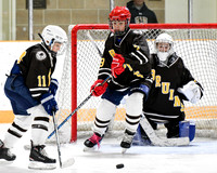 hockey_ms2_2024-01-11_dburns_8165