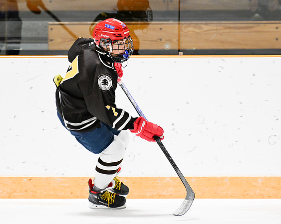 hockey_ms2_2024-01-11_dburns_8188