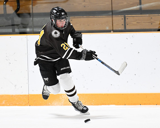 hockey_ms2_2024-01-11_dburns_8374